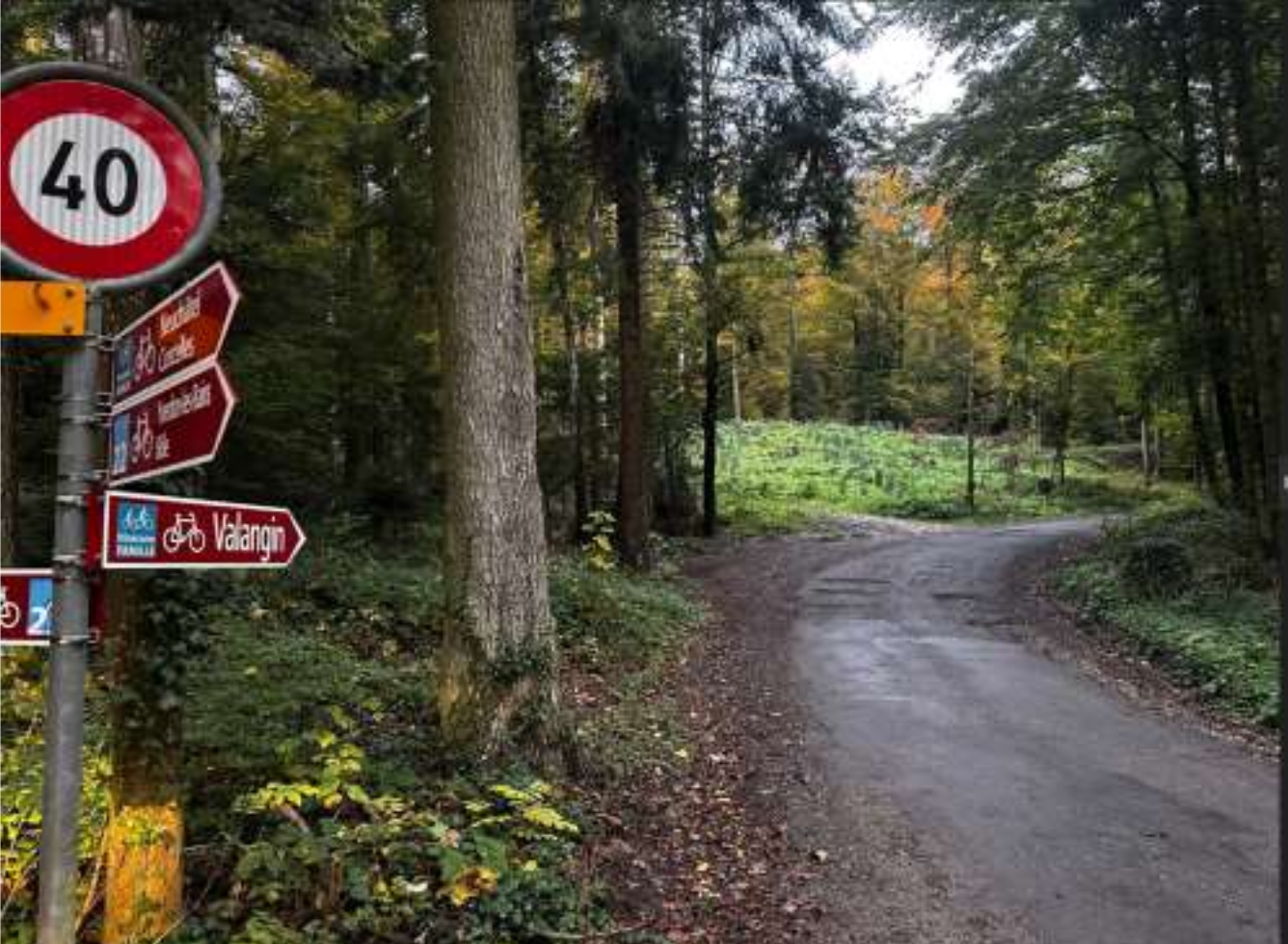 Capture d’écran 2025-11-05 à 09.33.15