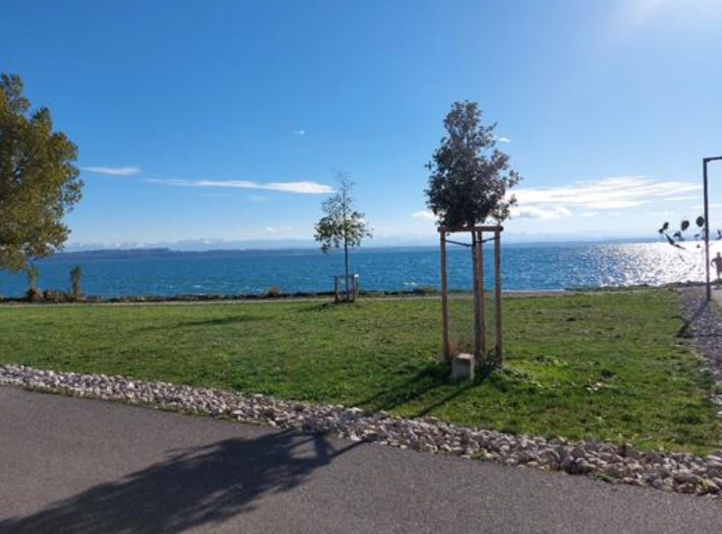 Capture d’écran 2025-11-17 à 10.12.33