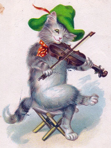 Avatar: Cat Fiddler