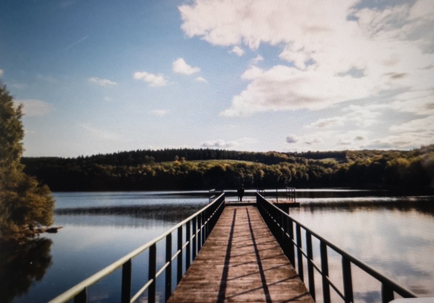 Image média: Passerelle dans la baie de l'Evole