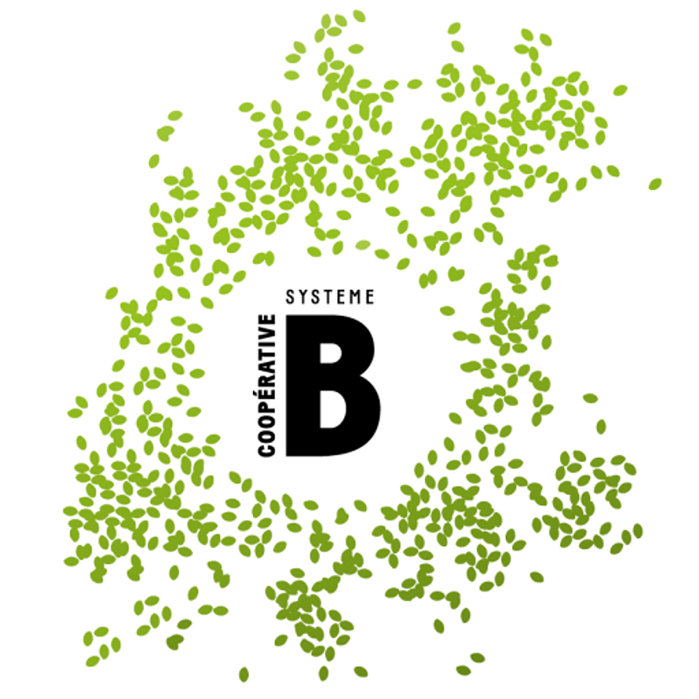 Image média: Système B